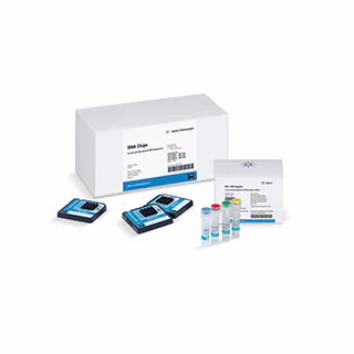 Bioanalyzer DNA Analysis 
